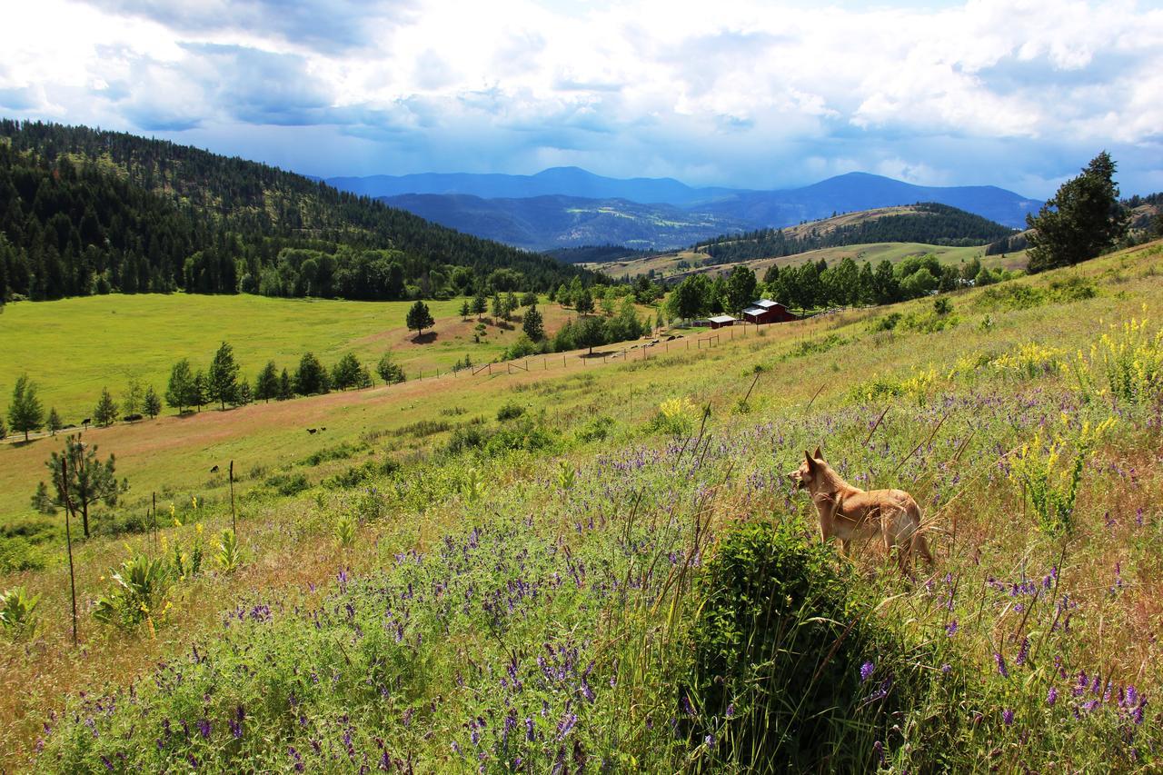 Pleasant Valley Rice Екстер'єр фото