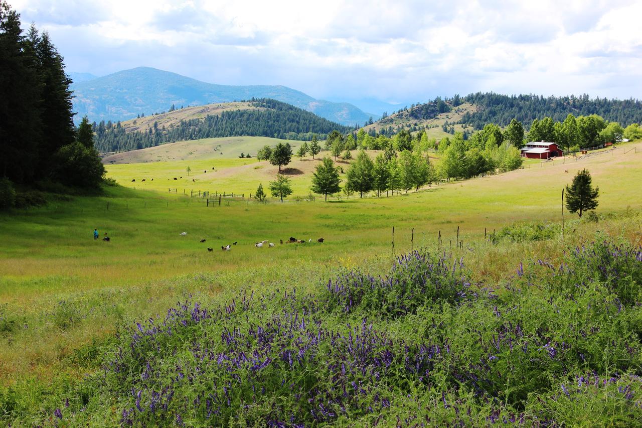 Pleasant Valley Rice Екстер'єр фото